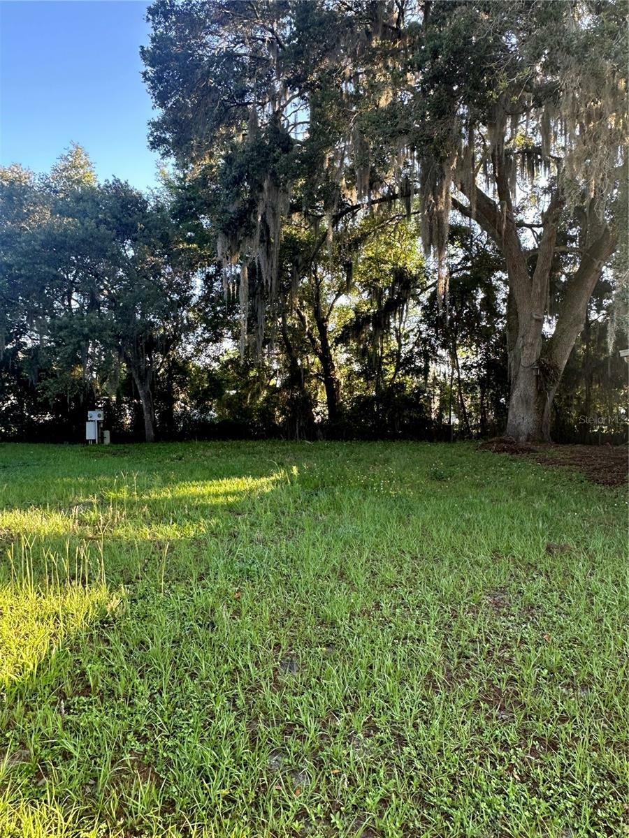 Property Photo:  Lawanda Loop  FL 33541 