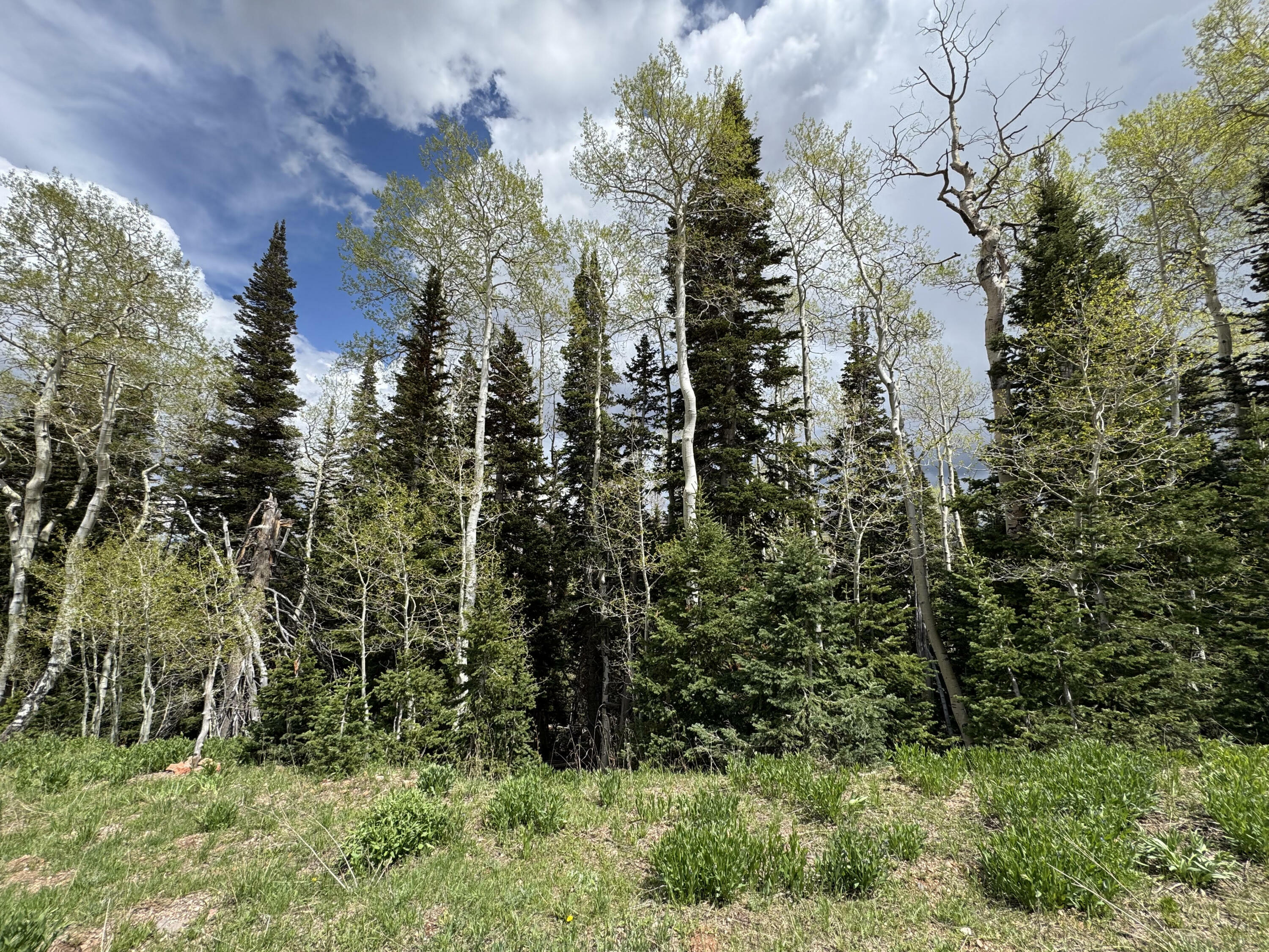 Property Photo: 695 W Hunter Ridge UT 84719