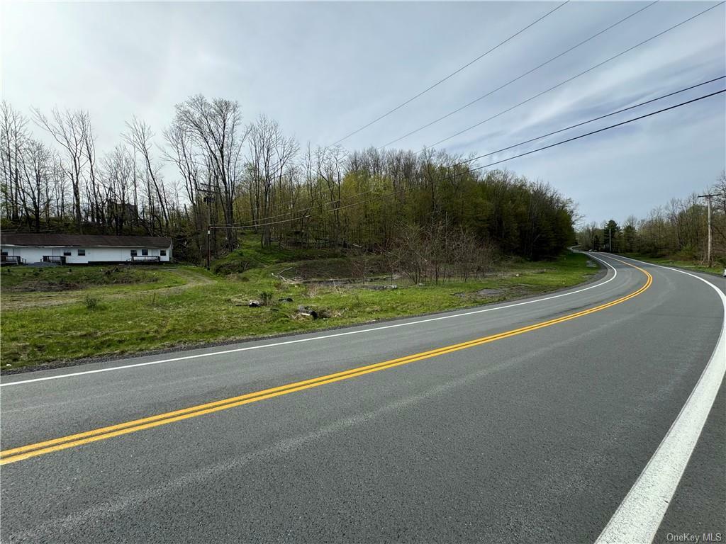 Property Photo:  51 Parksville Road  NY 12754 