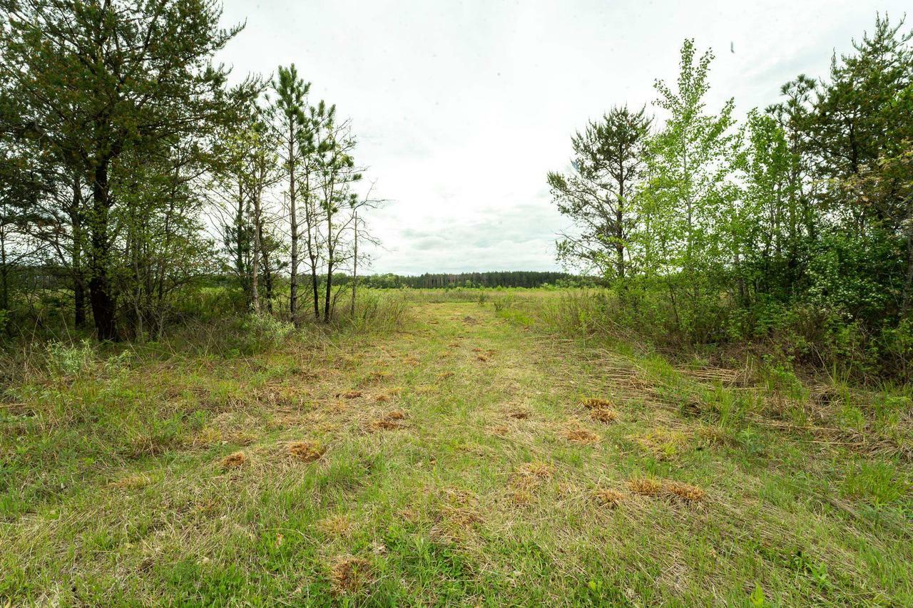 5 Acres Brown Deer Drive  Arkdale WI 54613 photo