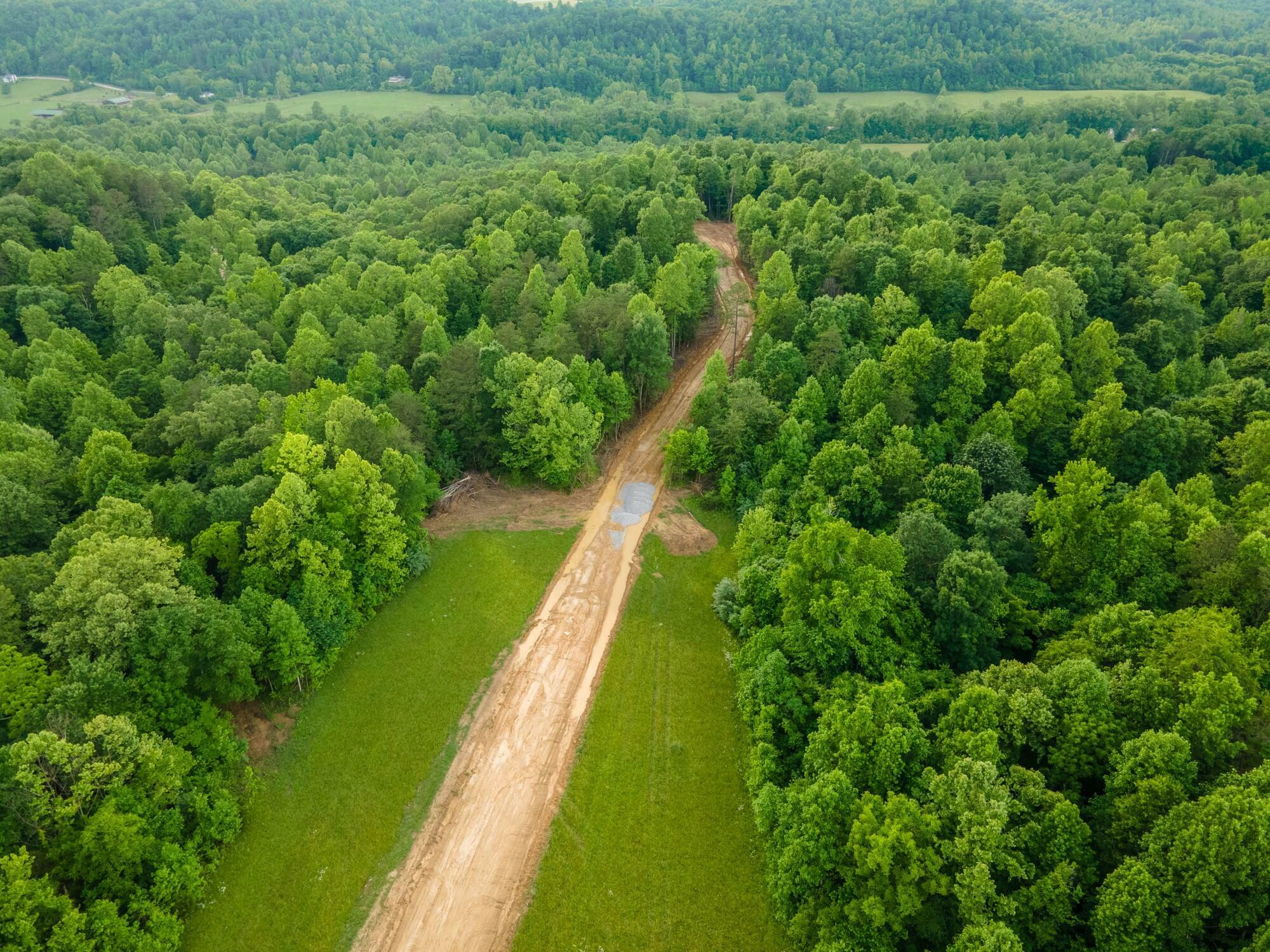 Property Photo:  Lot 130 Mt Morgan Road  KY 40769 