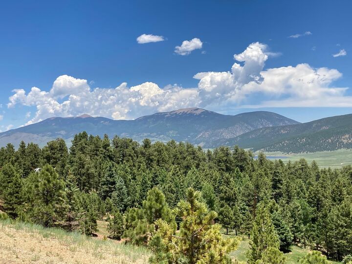 Property Photo:  106 Eagle Drive  NM 87718 