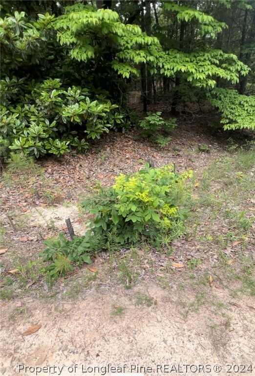 Property Photo:  Lot 23 Cedar Lane  NC 27242 