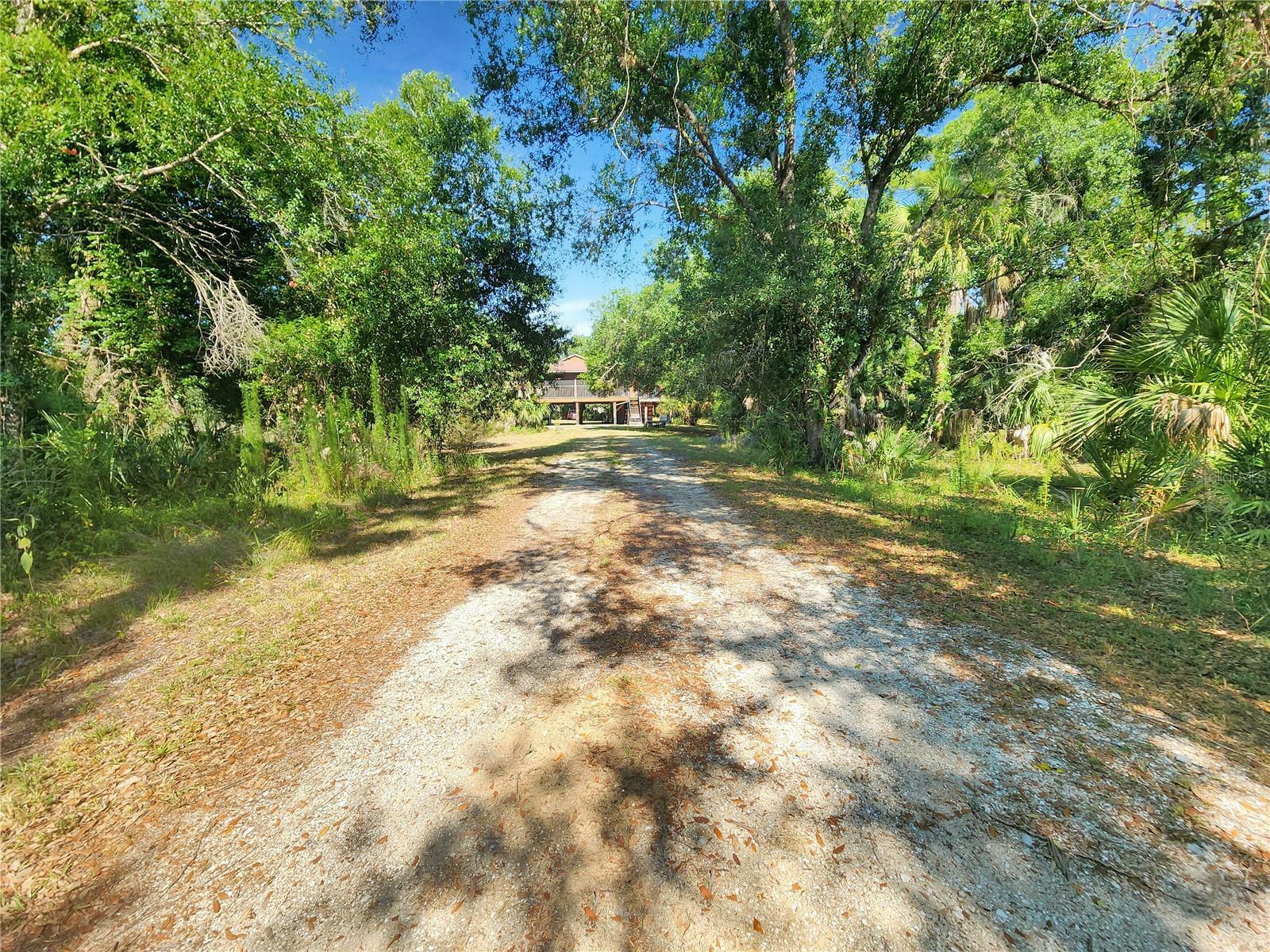 Property Photo:  2091 SW Blossom Avenue  FL 34266 