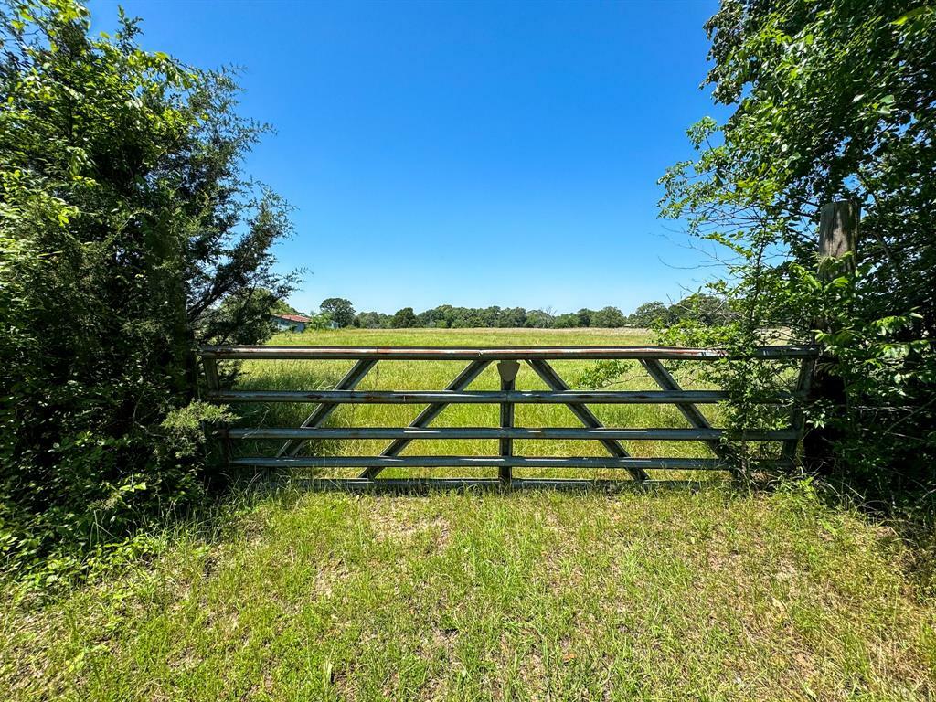 Property Photo:  5 Ac County Road 33800  TX 75460 