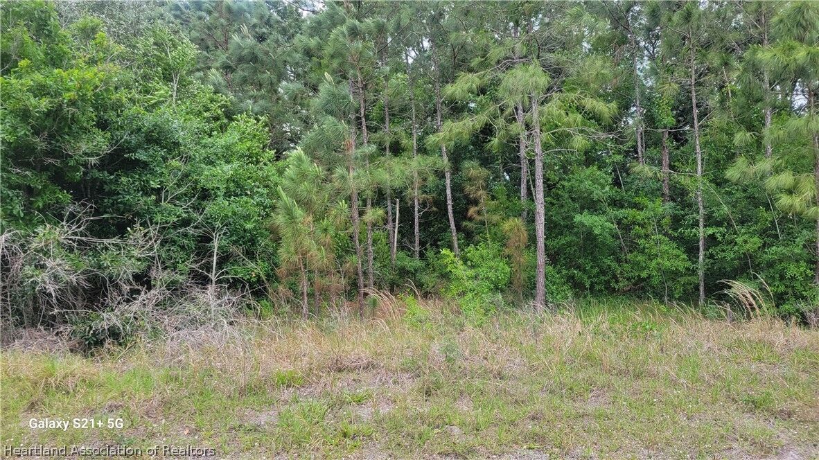 Property Photo: 106 Circle Court NE FL 33852