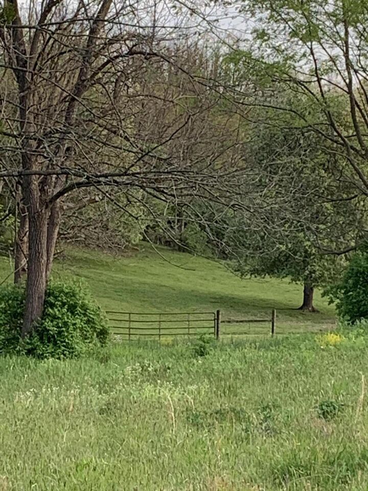 900 Stewarts Lane  Danville KY 40422 photo