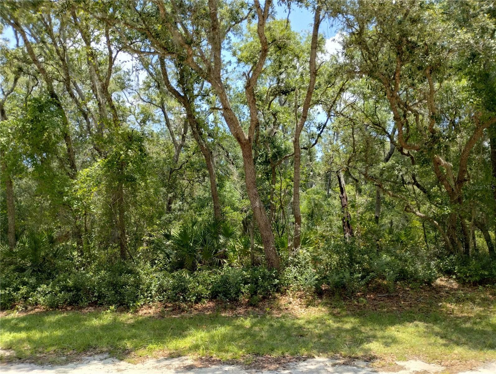 Property Photo:  34215 Berryhill  FL 33597 