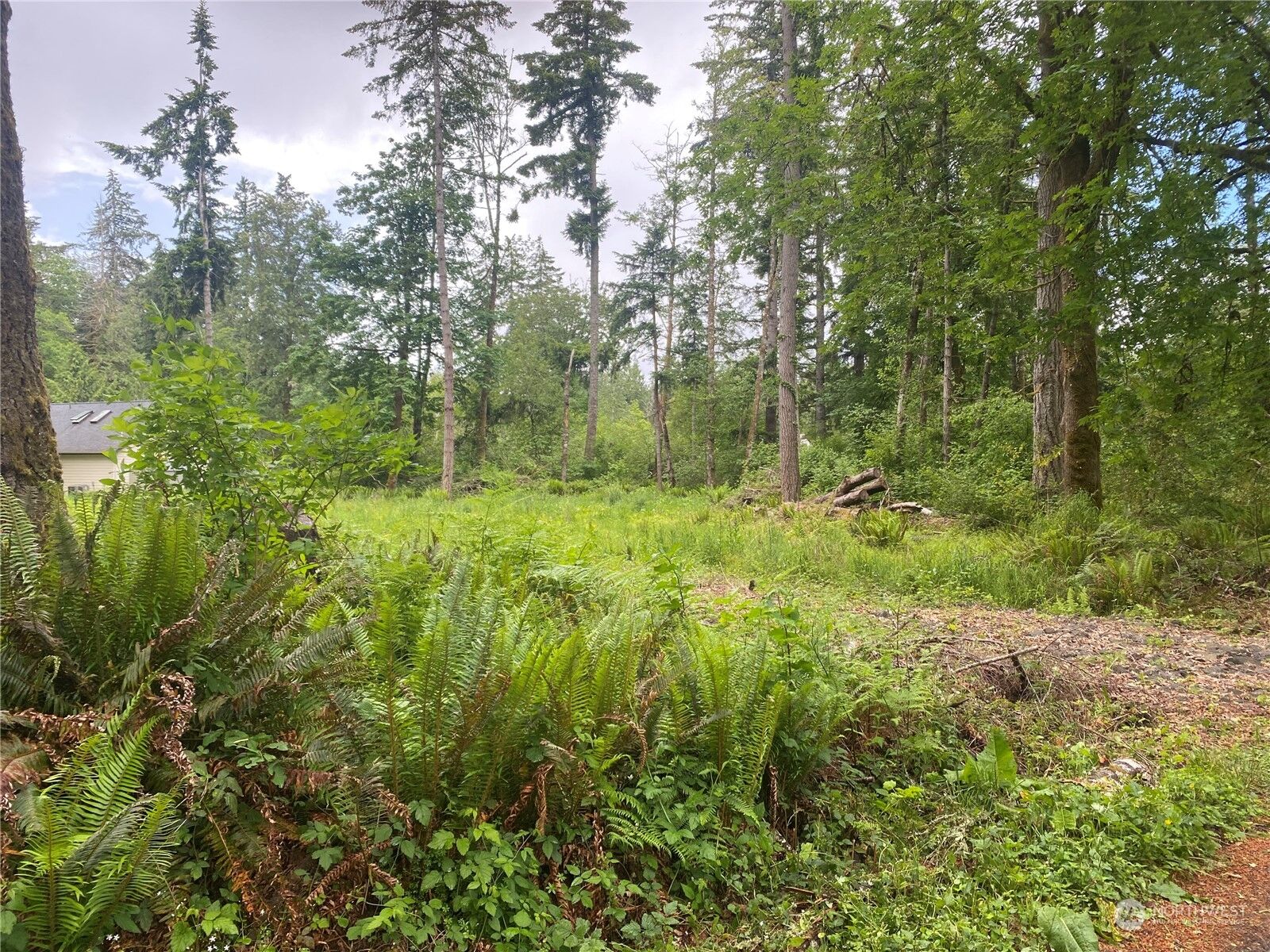 Property Photo: 0 44th Avenue NW WA 98502