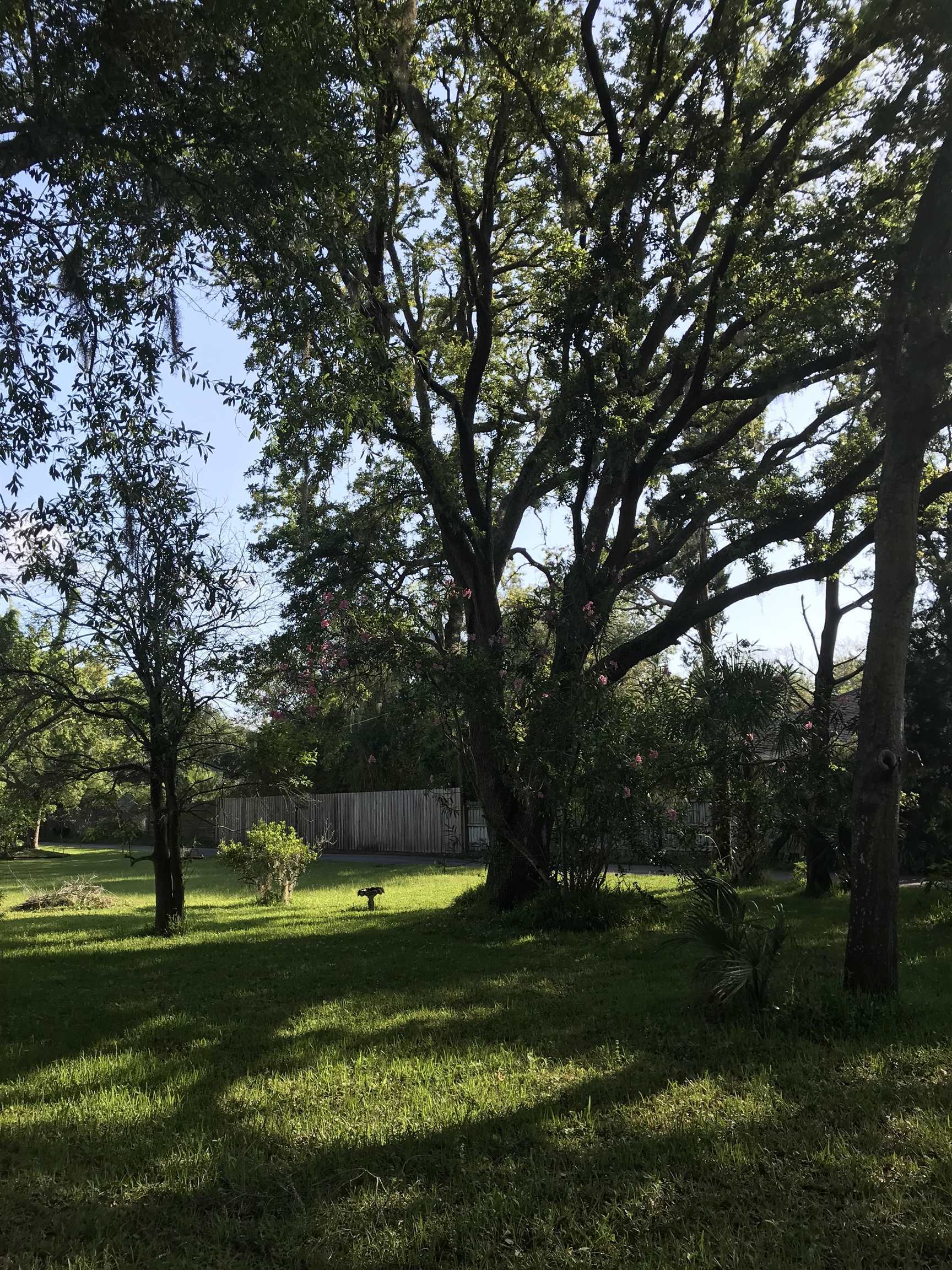 Property Photo:  Madrid St Lot 1  FL 32080 