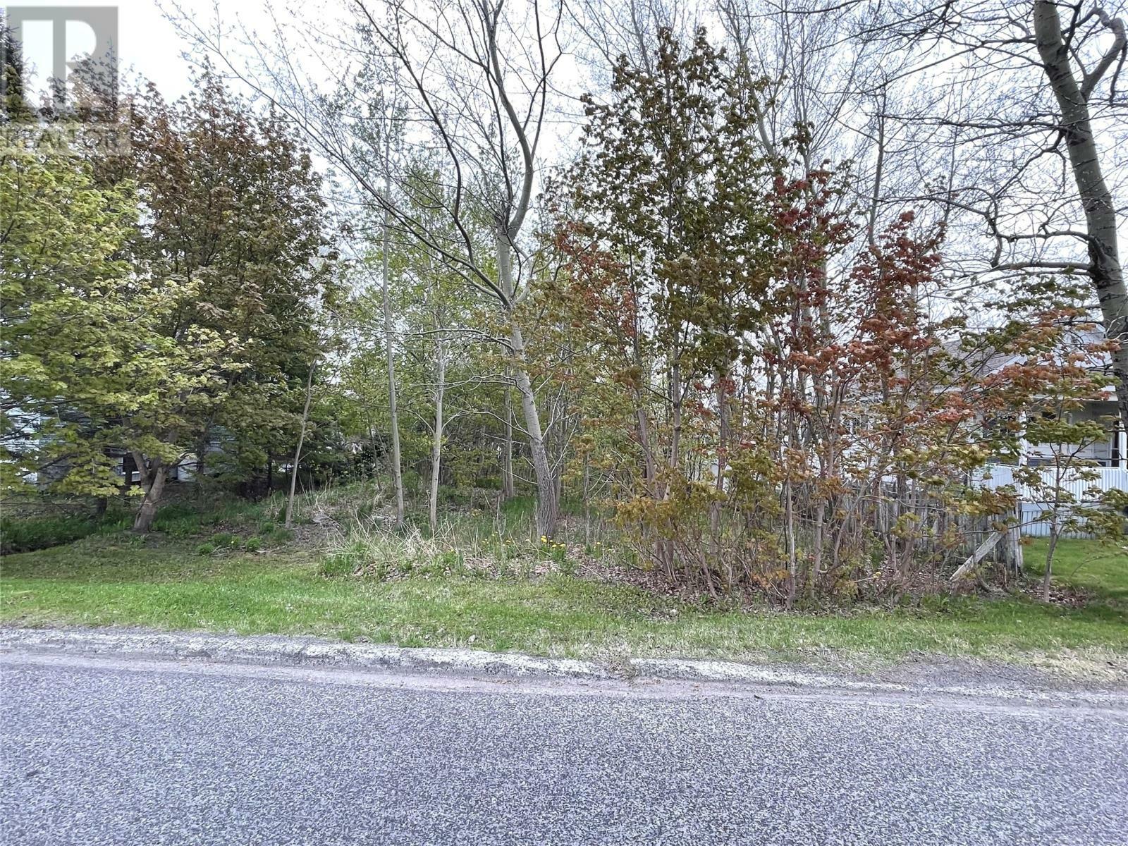 69 Earle Street  Grand Falls-Windsor NL A2B 1H6 photo
