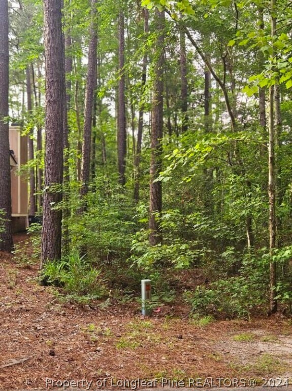 Property Photo:  668 Wren Lane  NC 28394 