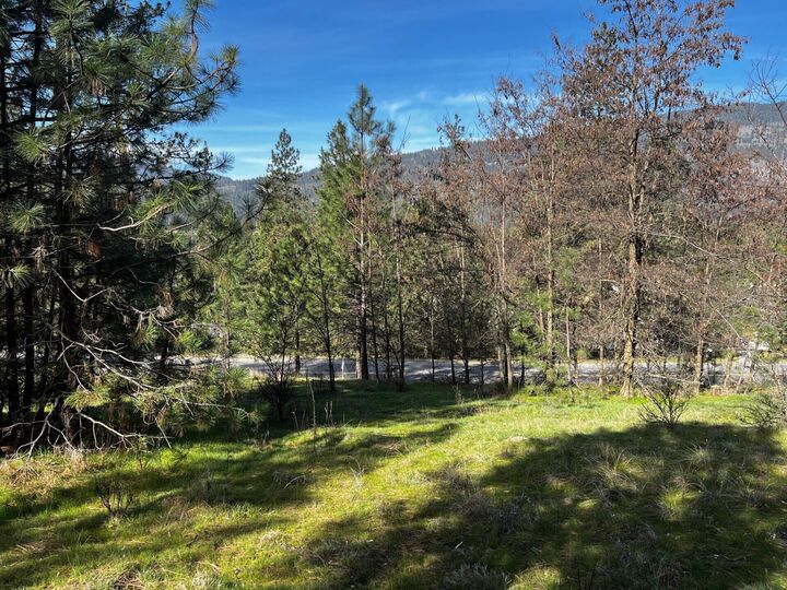 Property Photo:  1390 Lookout Point Way  WA 99141 