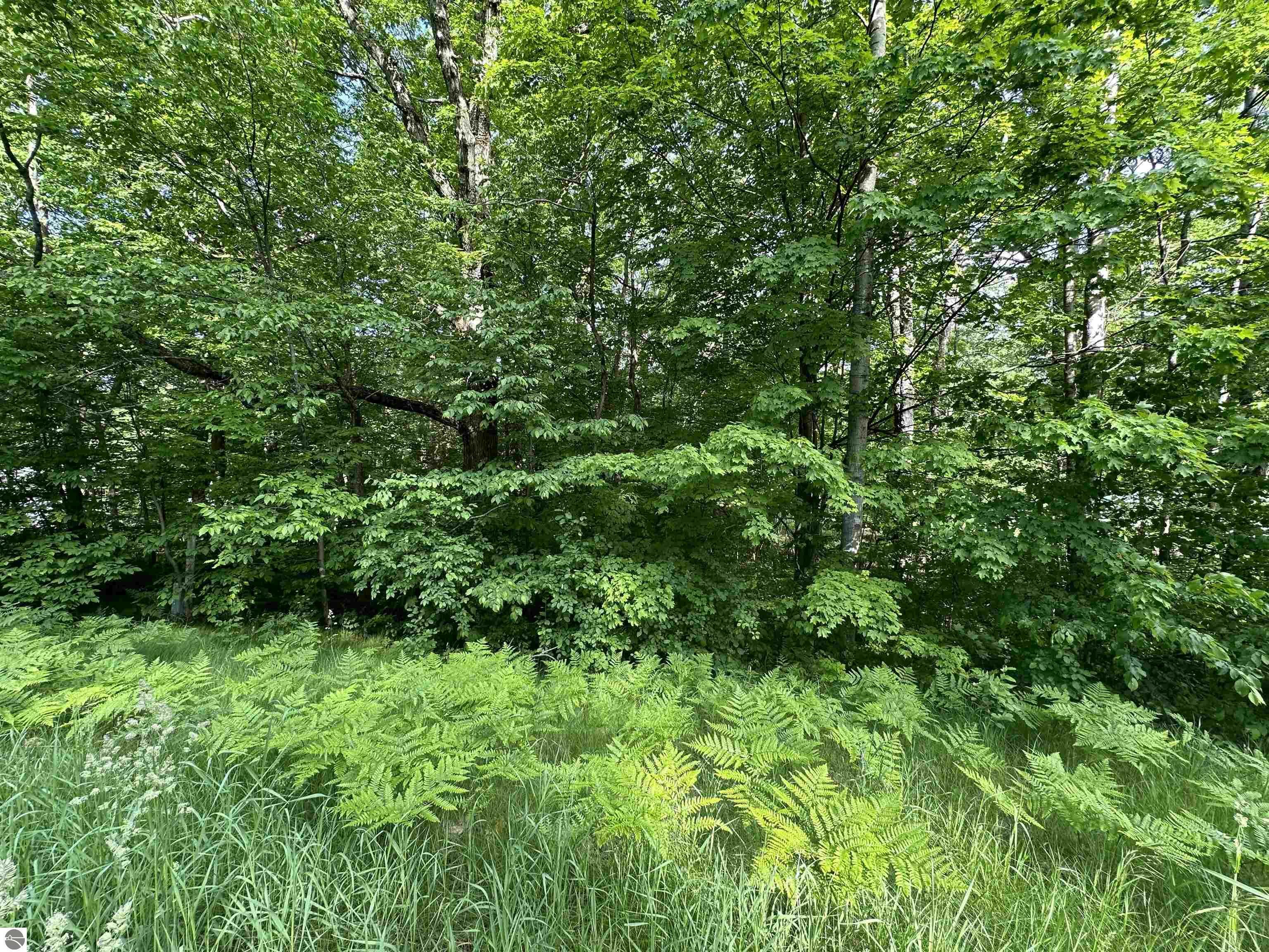 Property Photo:  Lot 14 M-37  MI 49601 