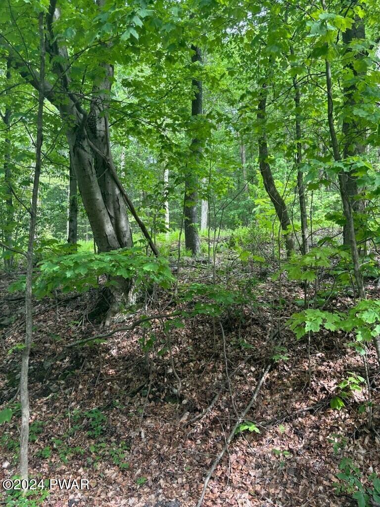 Property Photo:  Lot #8 Mill Creek Road  PA 18445 