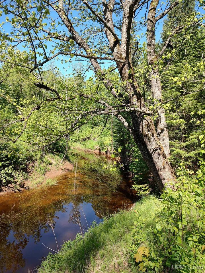 Property Photo:  Tbd M38 Highway  MI 49953 