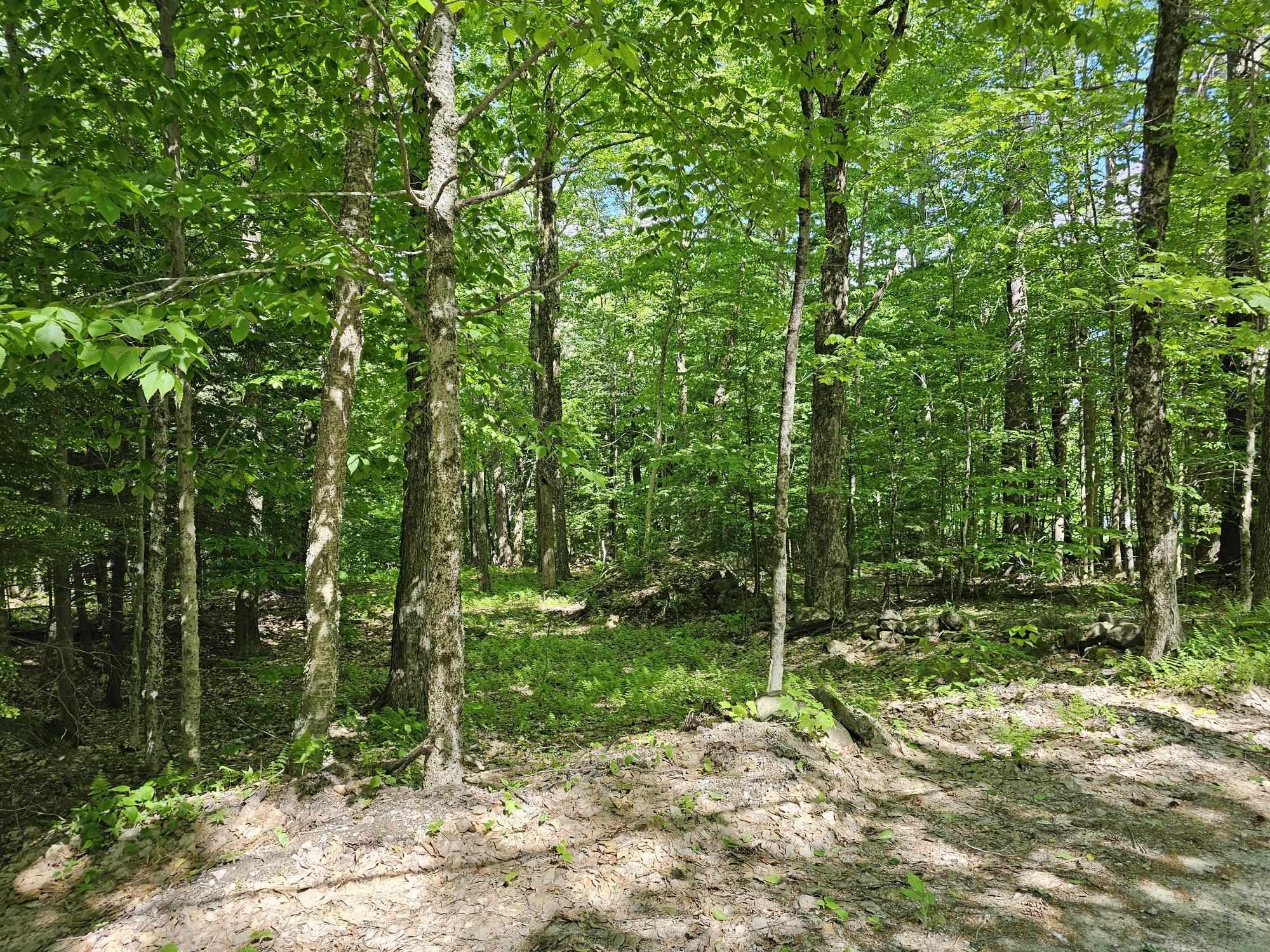 Property Photo:  0 Kennedy Brook Drive  NH 03464 