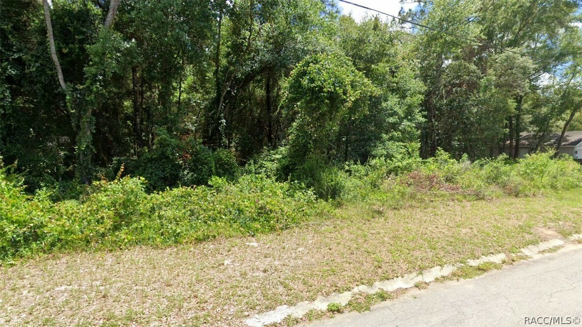 Property Photo:  1623 Dickinson Street  FL 34450 