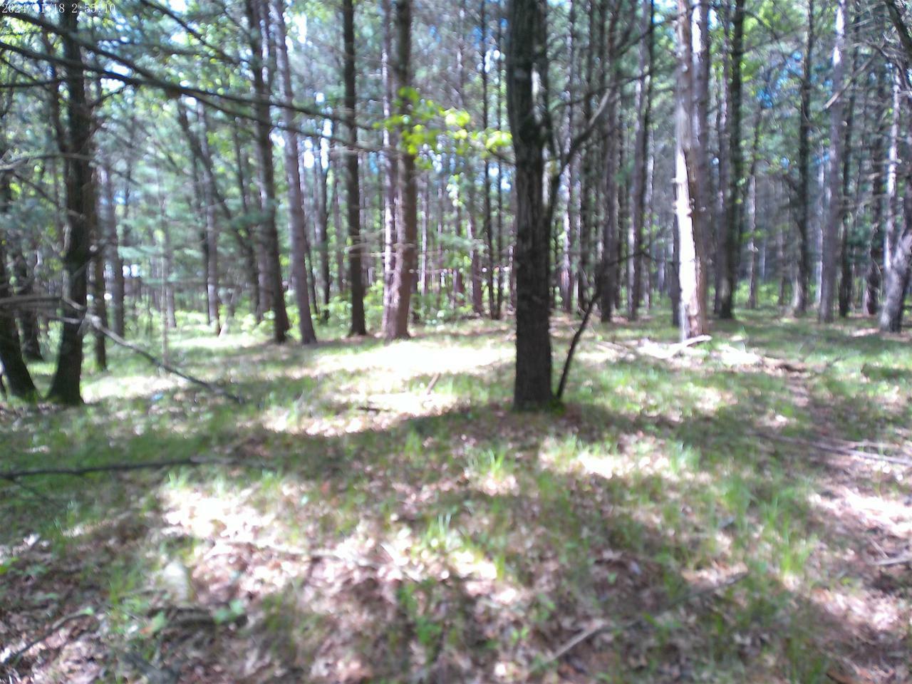 Property Photo:  227 9th Avenue  WI 54457 