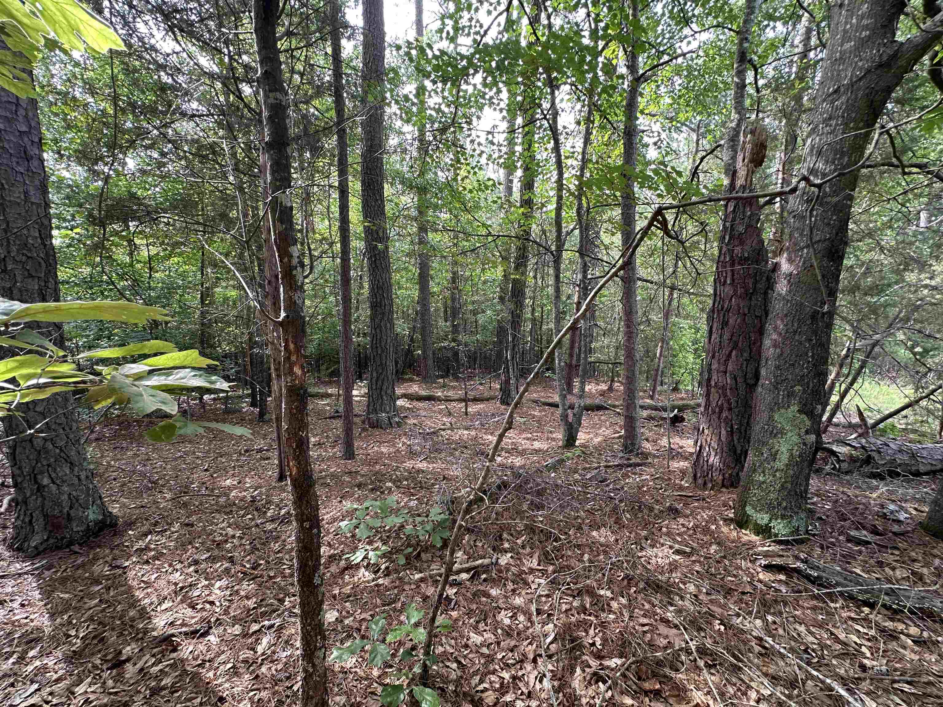 Property Photo: 0 Plantation Trail SC 29340