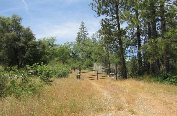 Property Photo:  12717 Armstrong Road  CA 95246 