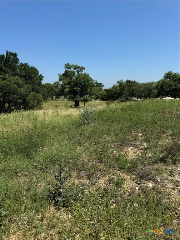 Property Photo:  4602 Fm 1107  TX 78160 
