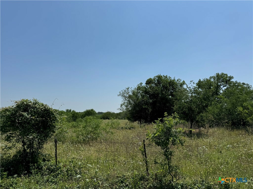 Property Photo:  135 Steele Branch Ln  TX 78160 