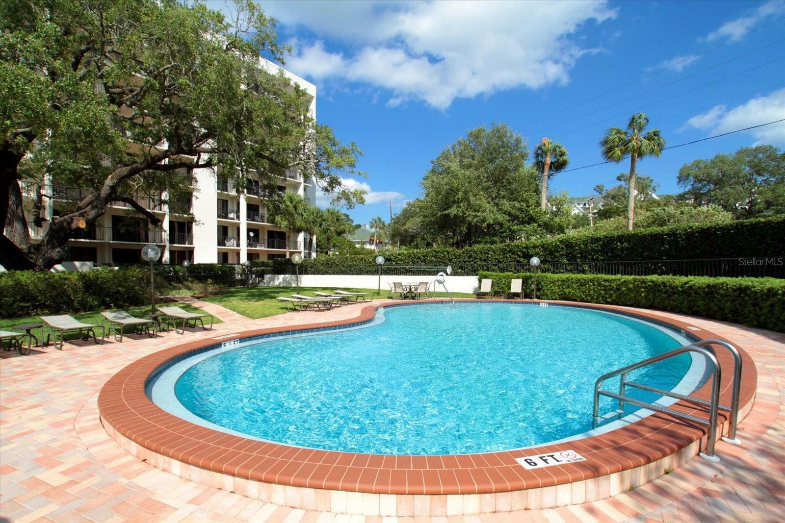 Property Photo:  150 Belleview Boulevard 704  FL 33756 