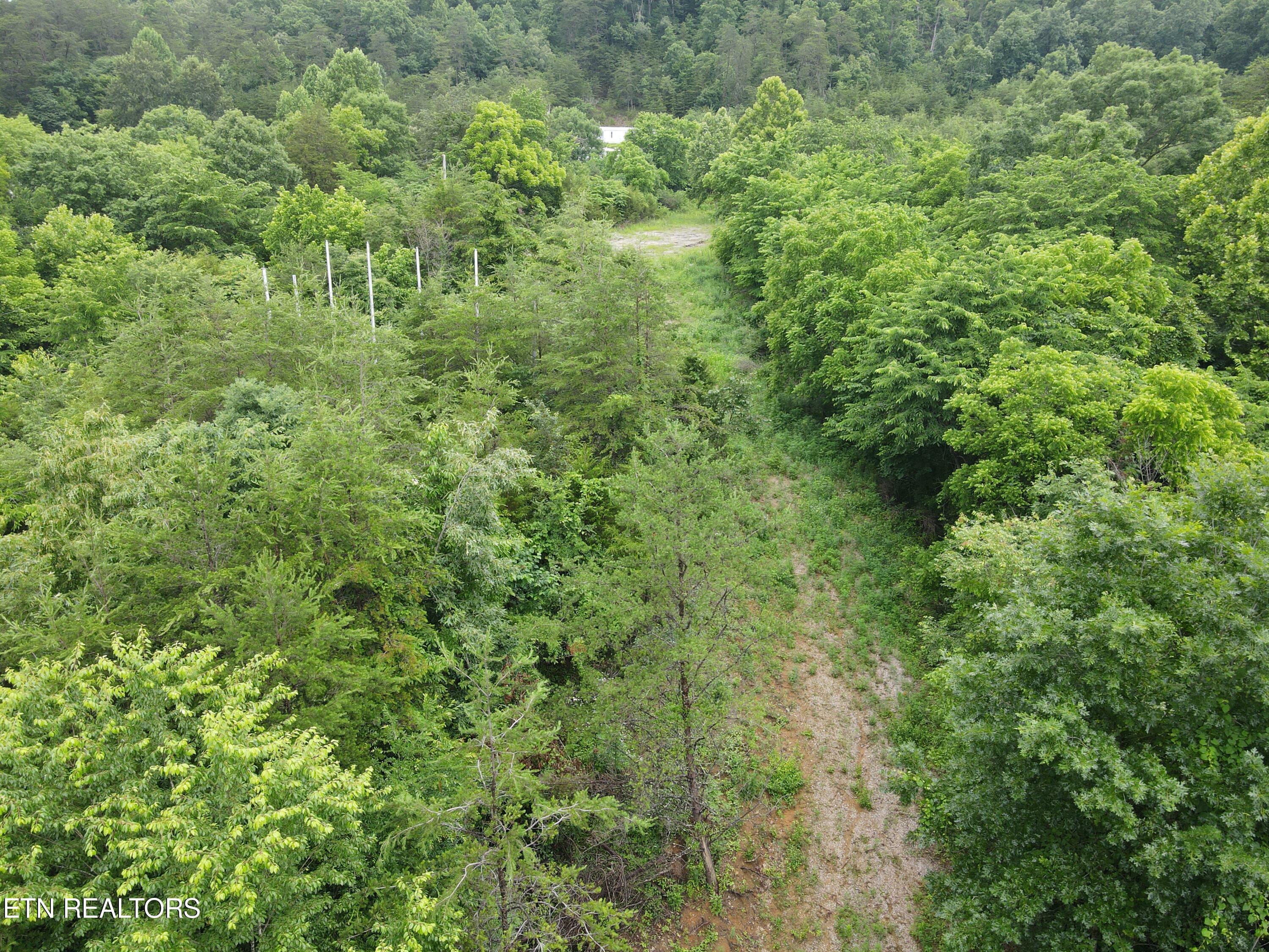 Property Photo:  Satterfield Rd  TN 37807 