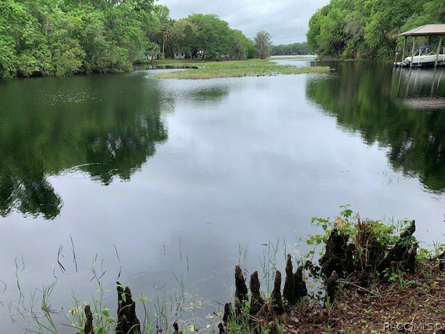 Property Photo:  1450 S Homestead Point  FL 34450 