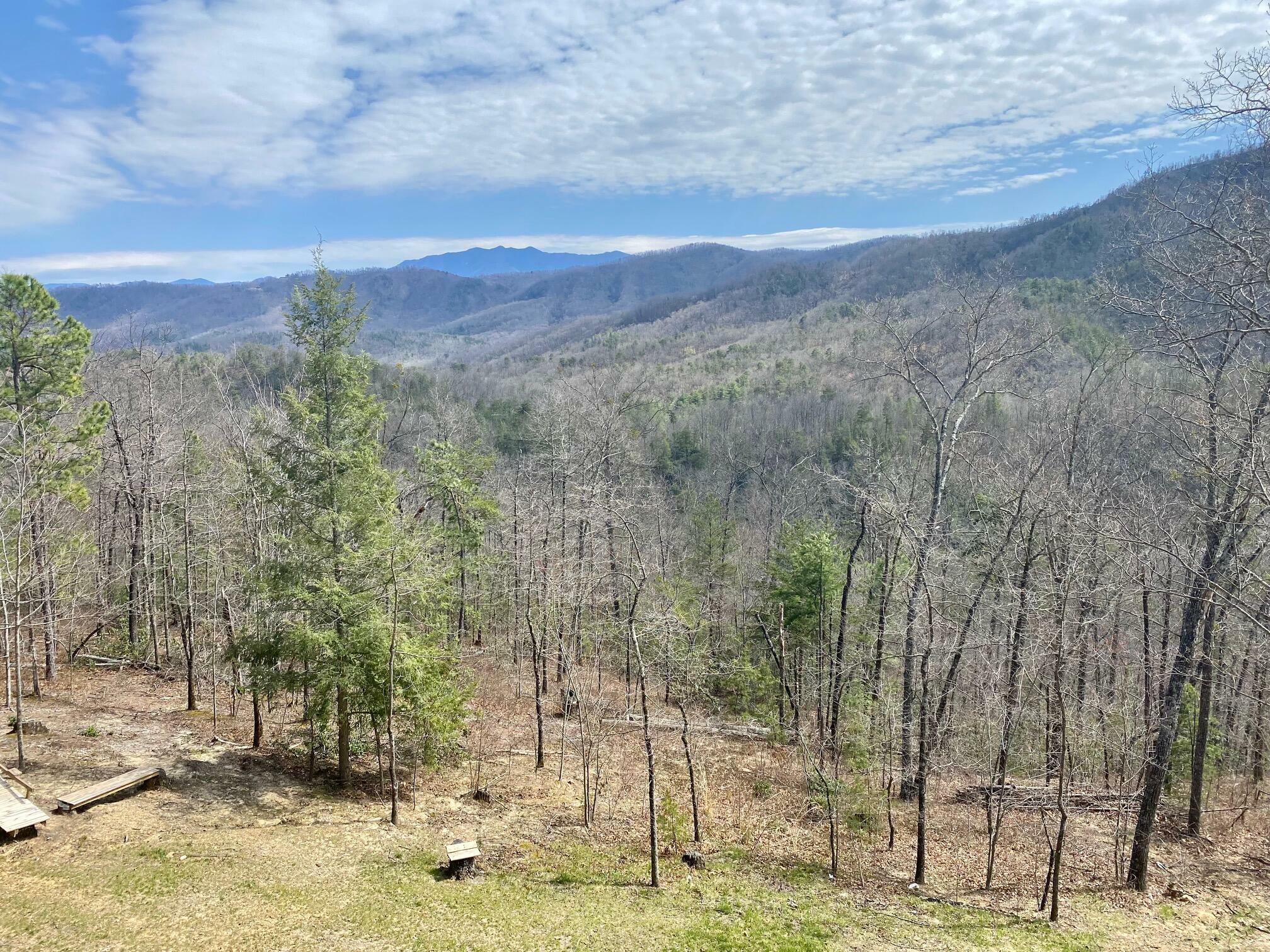 Property Photo:  1851 Pinestand Ridge Way  TN 37862 