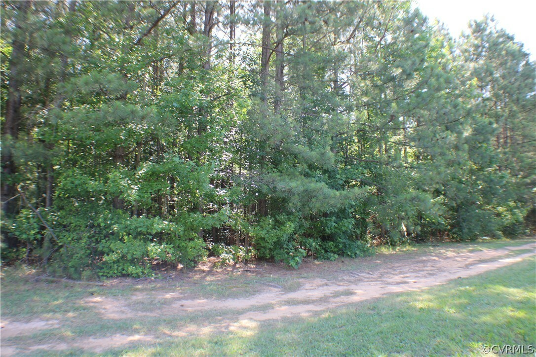 Property Photo:  8725 River Rd.  VA 23803 