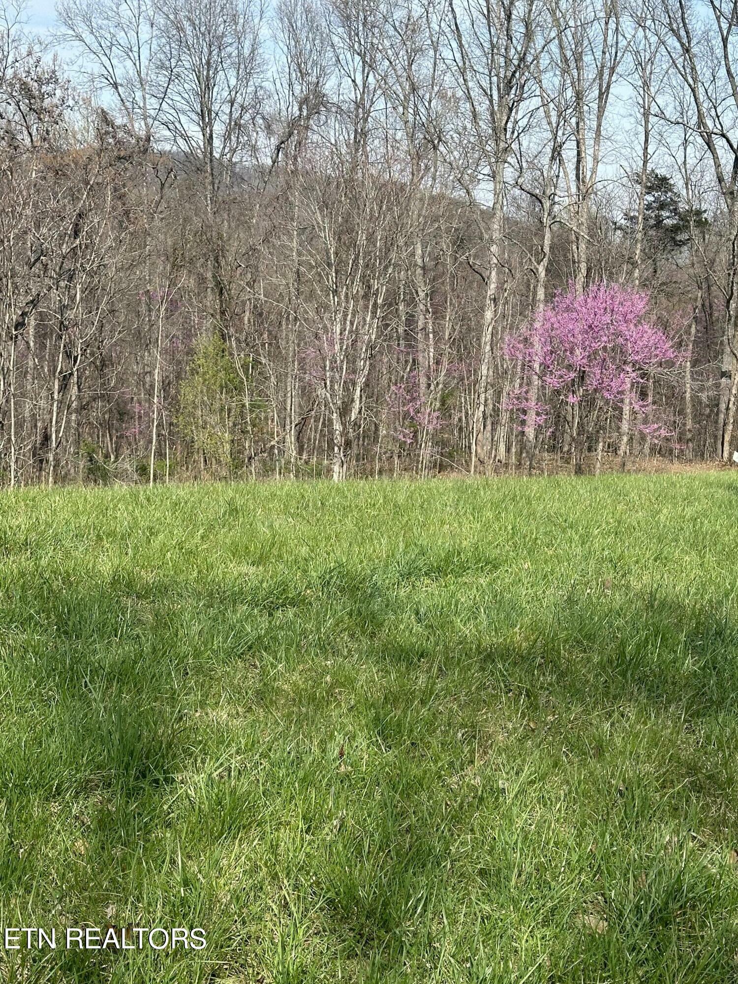 Property Photo:  Overton Rd Lot 2 Rd  TN 37807 