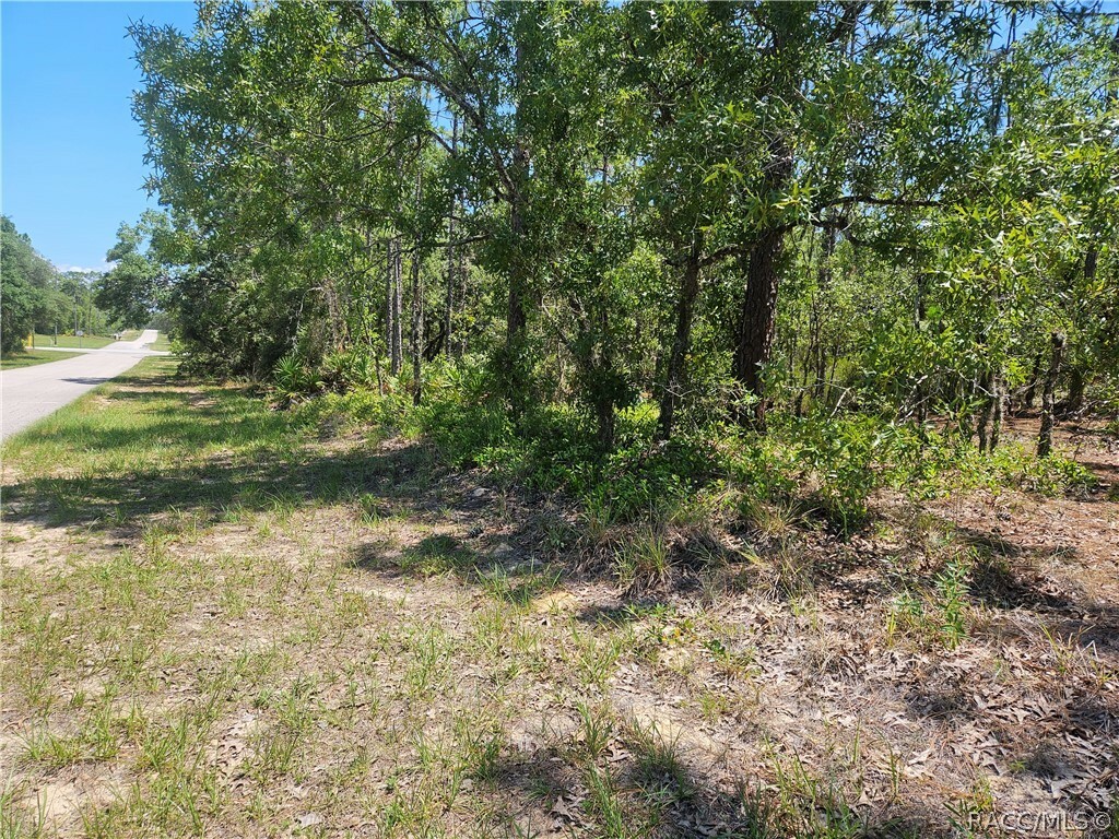 Property Photo:  3236 Bravo Drive  FL 34465 