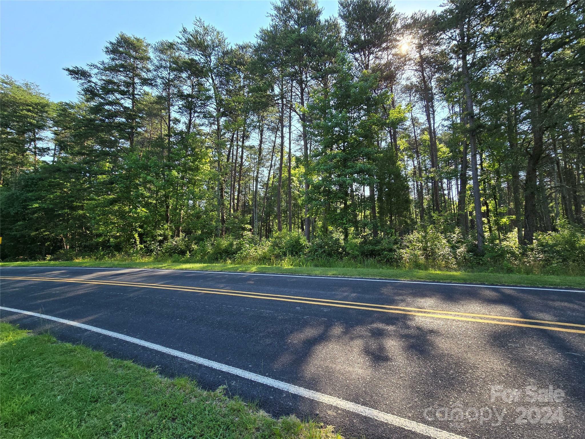 Property Photo:  Tbd Wildwood Road  NC 28146 