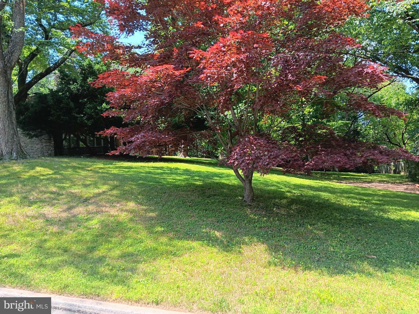 Property Photo:  208 Gribbel Road  PA 19095 