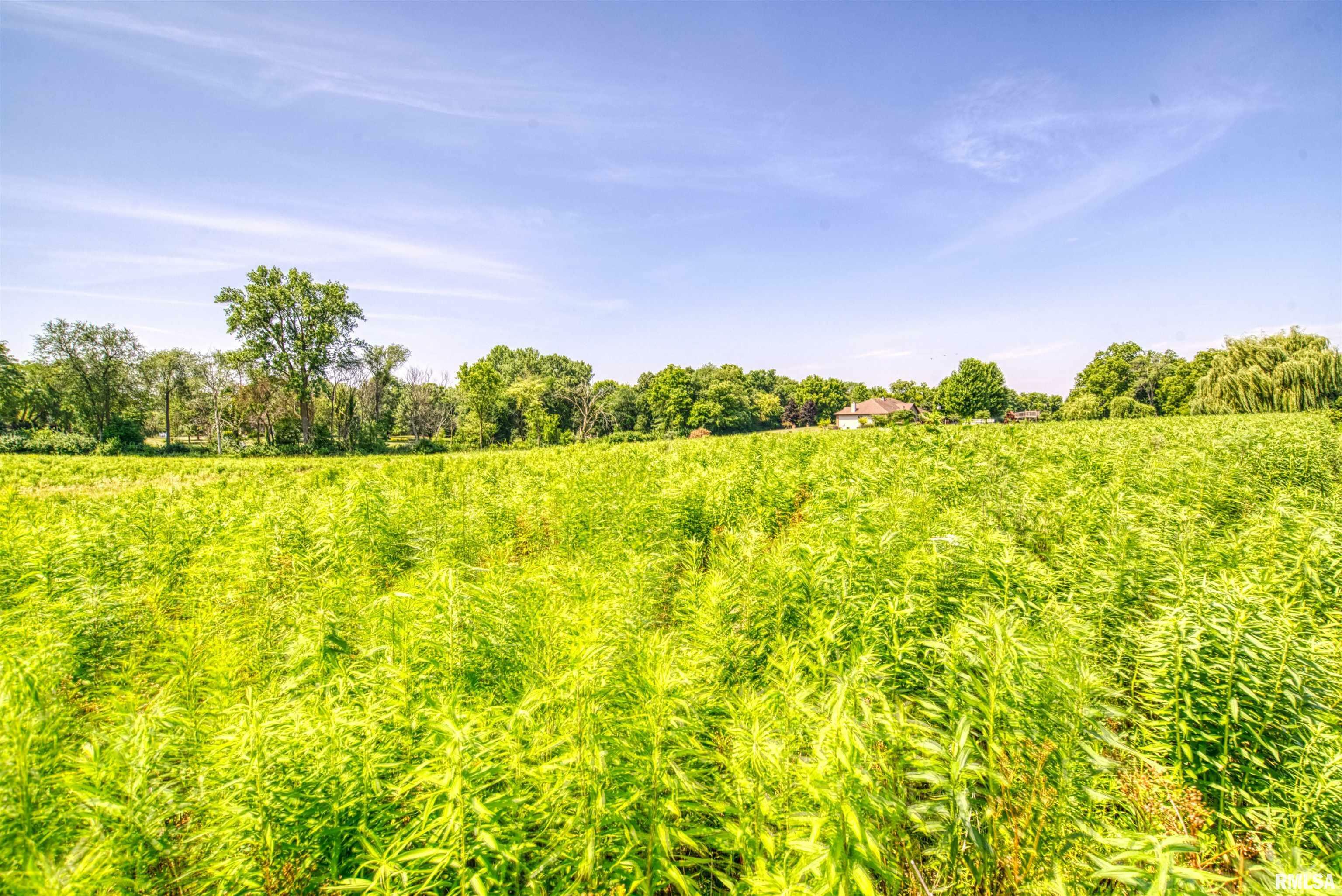 Property Photo:  Lot 4 W Lamplighter Lane  IL 61536 