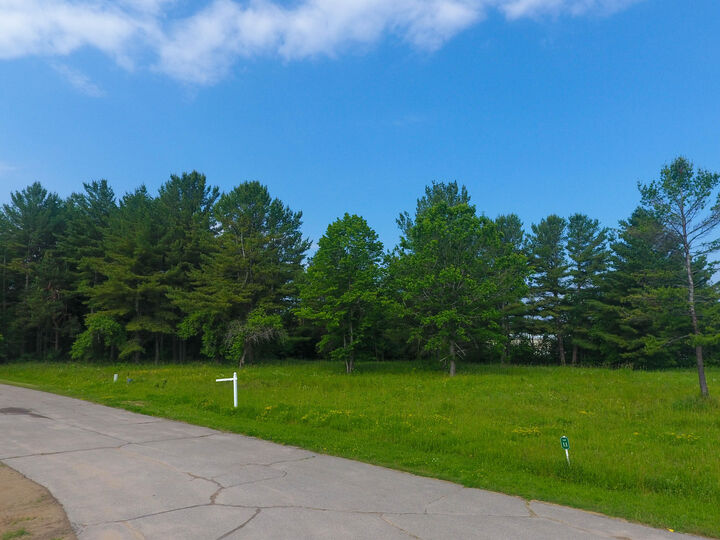 Lot #11 Rivers Ridge Court  Cheboygan MI 49721 photo