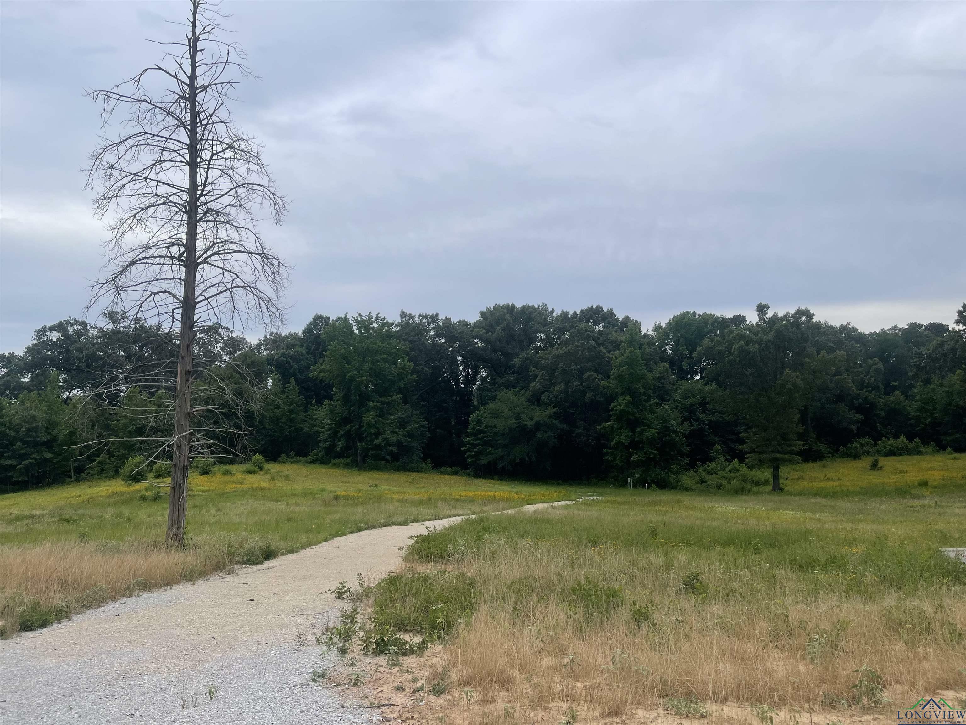 Property Photo:  16706 Ridgeline Loop Lot 96 Star Mountain Ranch  TX 75792 