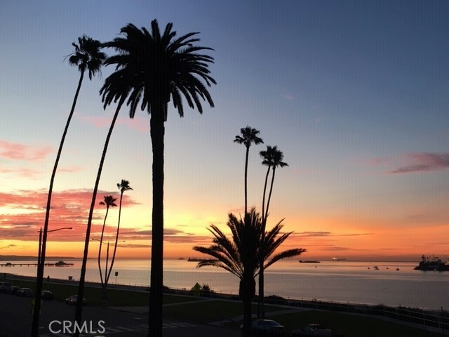 Property Photo:  2601 E Ocean Boulevard 708  CA 90803 