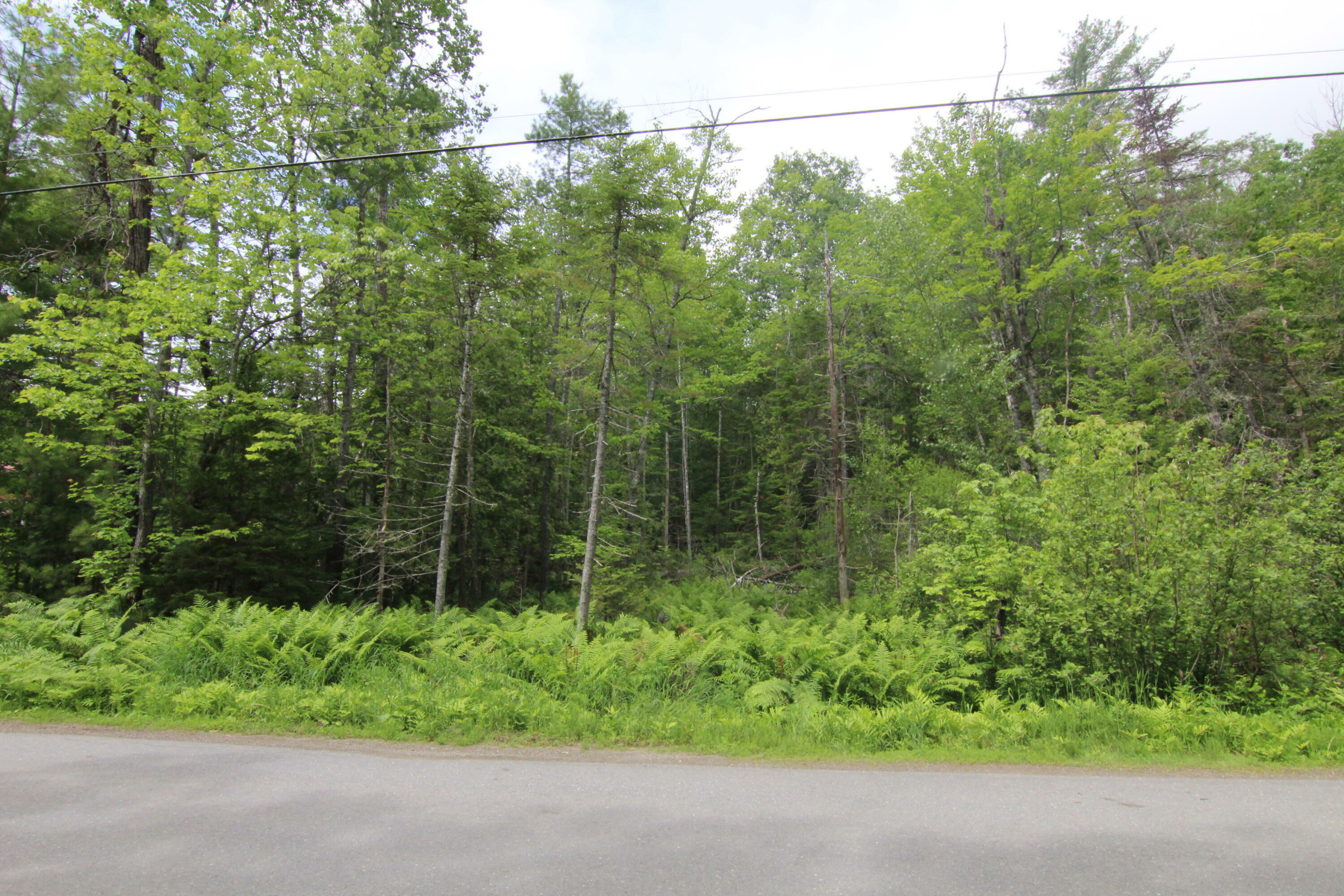 Property Photo:  Lot 37C Brewer Lake Road  ME 04474 