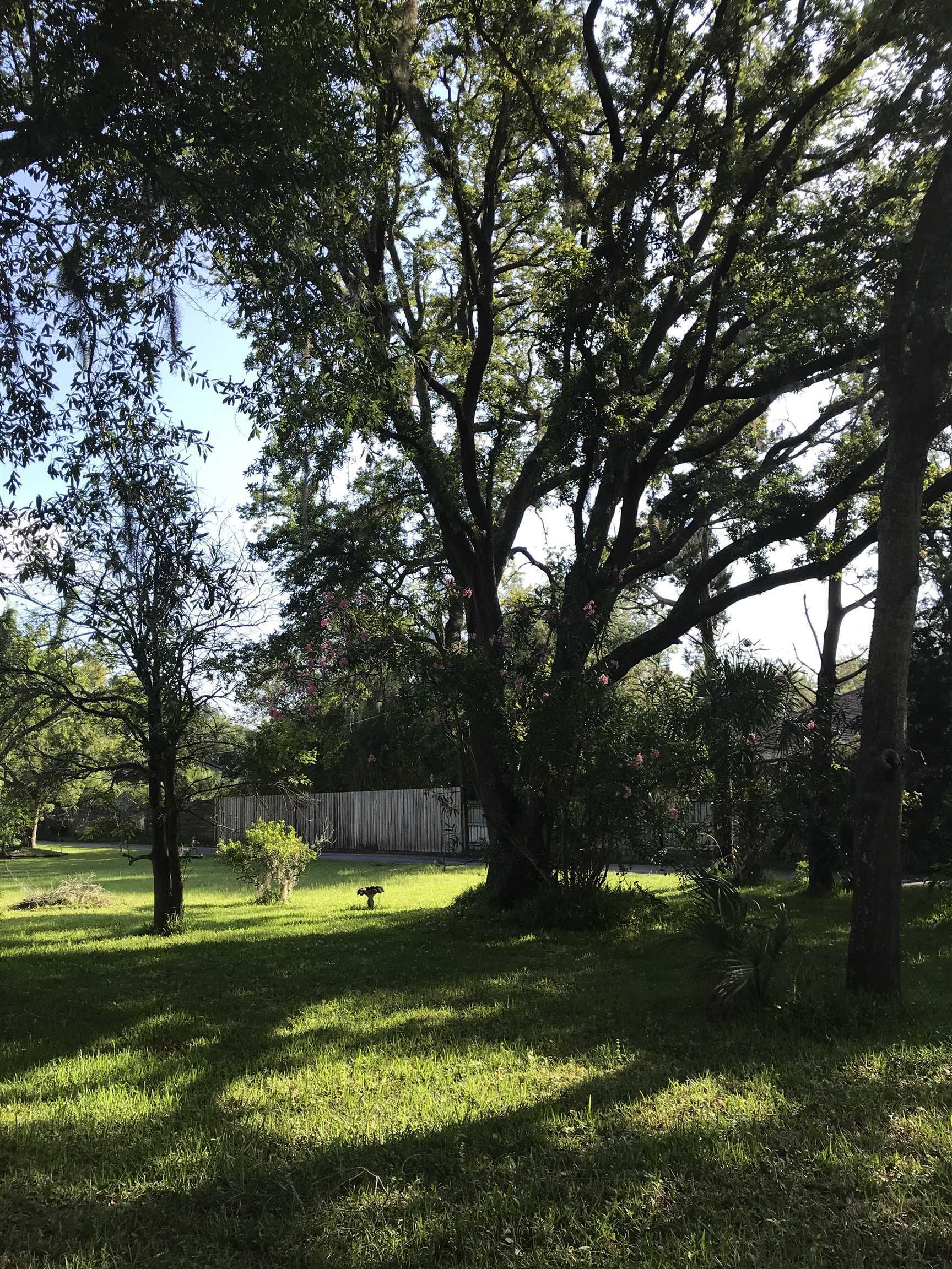 Property Photo:  0 Madrid St Lot 2  FL 32080 