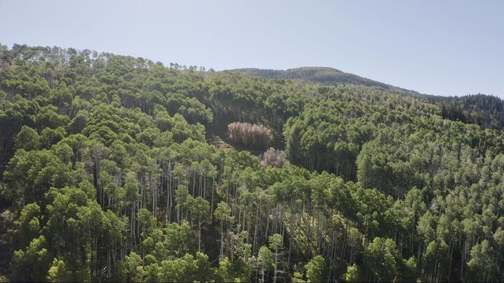 Property Photo:  80 Acres  UT 84719