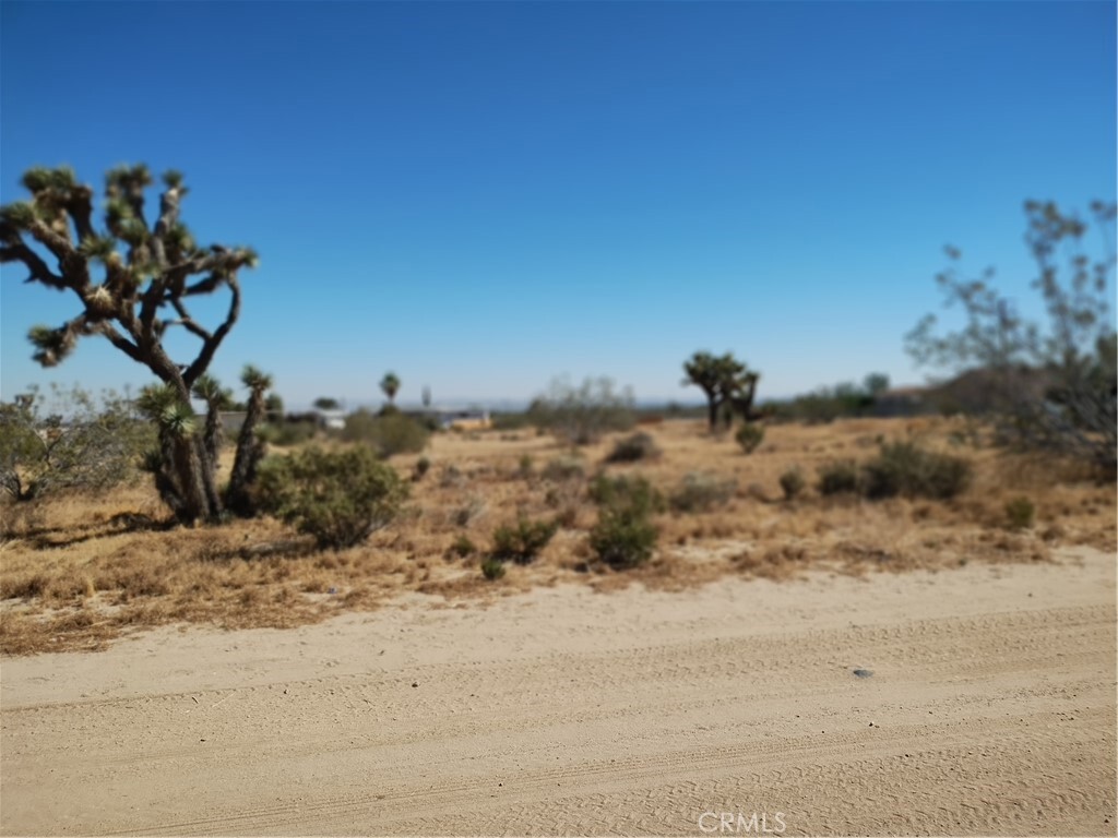 Property Photo:  0 Sierra Road  CA 92371 