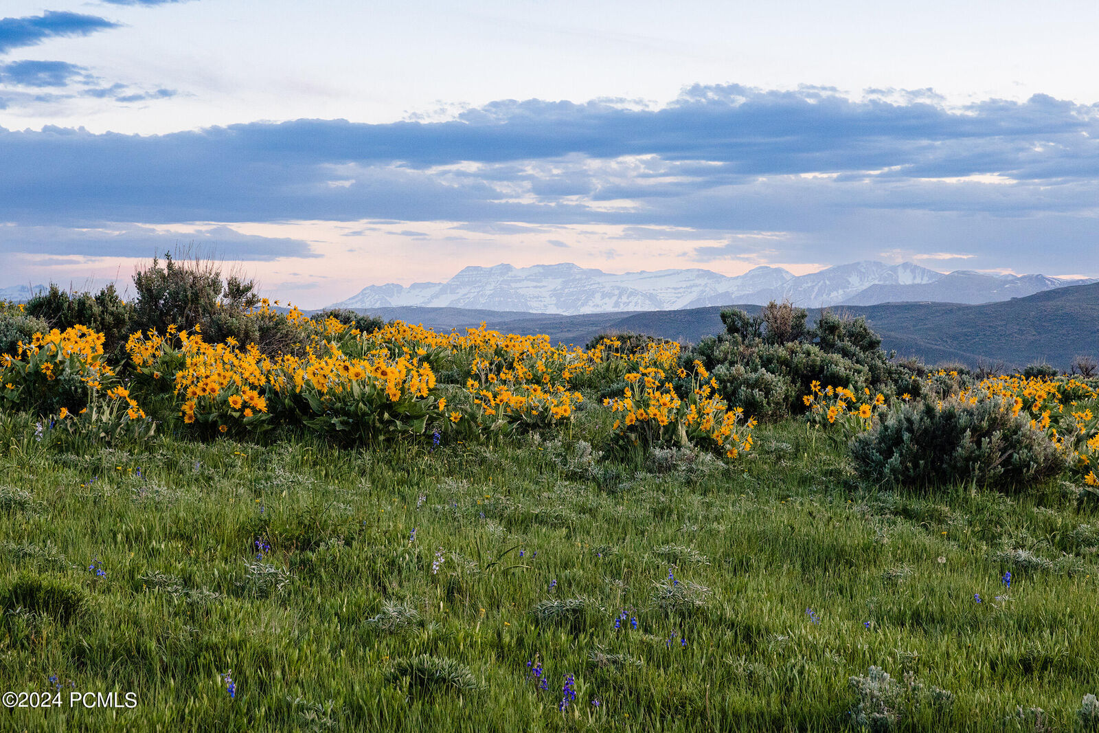 Property Photo:  1235 E Hoyt Peak Ranch Road 5  UT 84036 