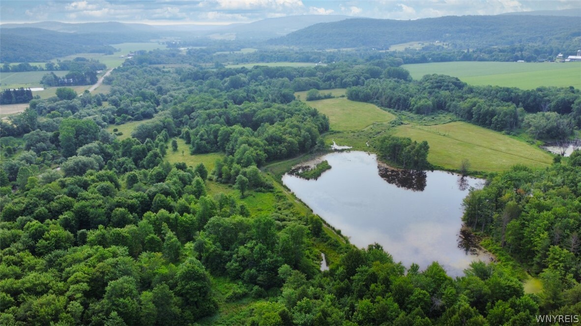 Property Photo: 0 Toad Hollow Road NY 14755