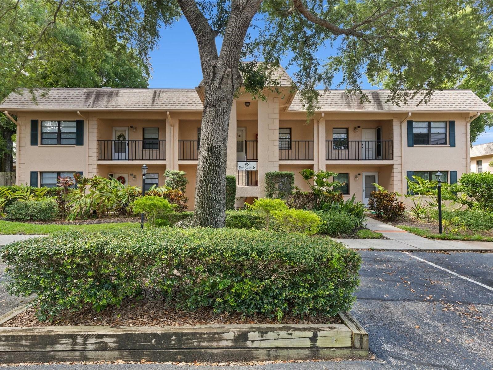 Property Photo:  49 W Center Street 113  FL 34689 