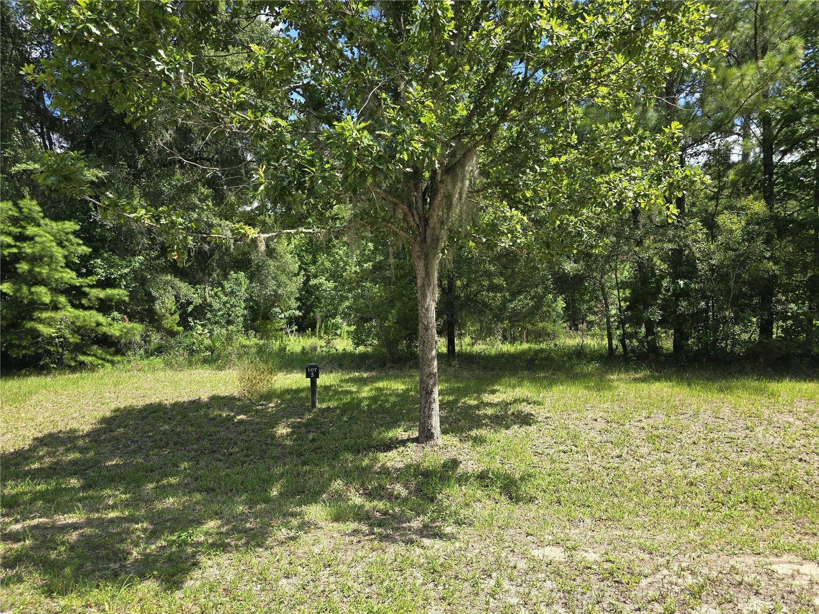 Property Photo:  8911 NW 58th Lane  FL 32653 