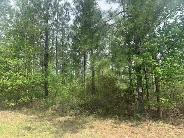 Arthur Frusha Rd  Leesville LA 71446 photo