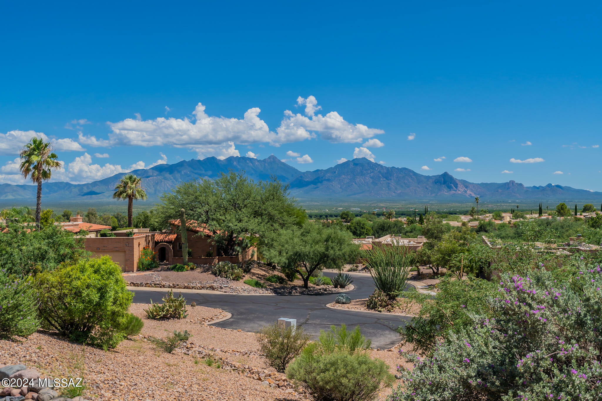 Property Photo:  1001 W Desert Hills Drive  AZ 85622 